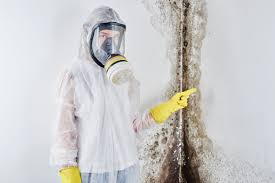 Best Water Damage & Mold Remediation  in Cooper City, FL